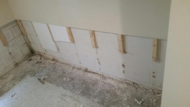 Wall Restoration System