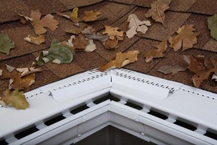 Rain Gutter Installation near Me