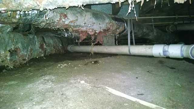 Nasty Crawl Space