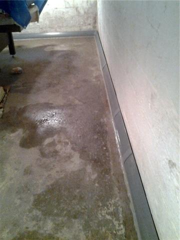 Basement Water Control System
