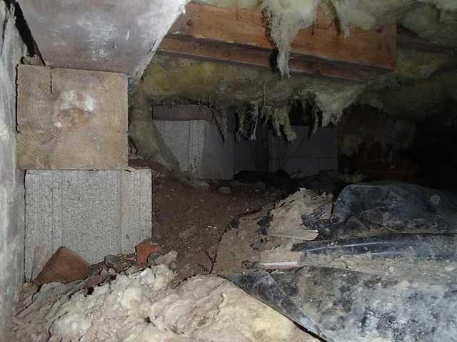 Nasty Crawl Space Needs Encapsulation