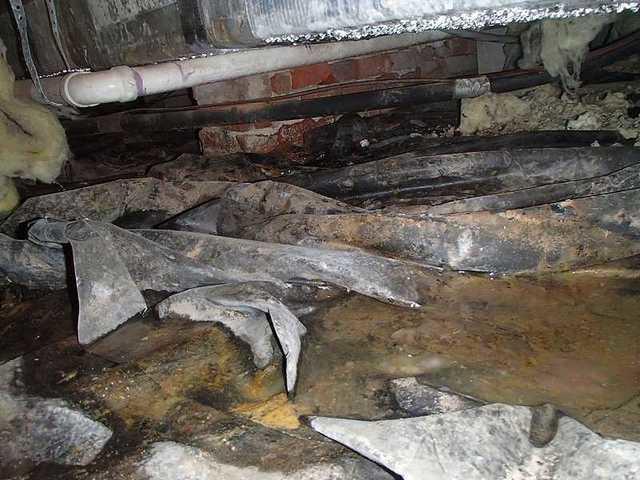 Water, Dirt, and Debris in Henderson, MD