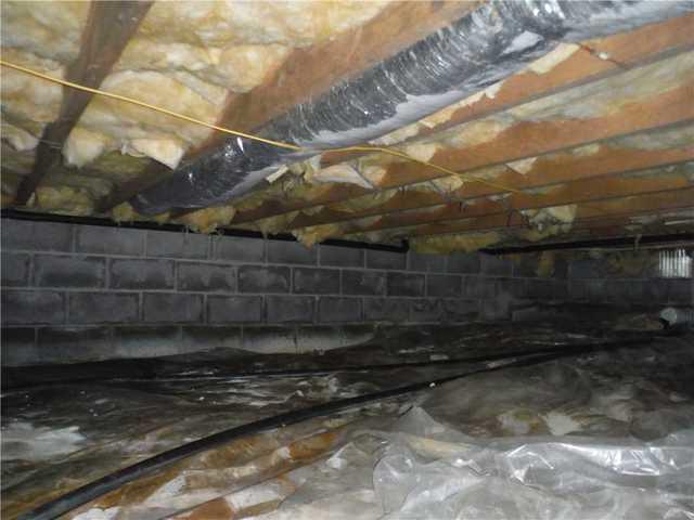 Nasty Crawl Space in Henderson, MD