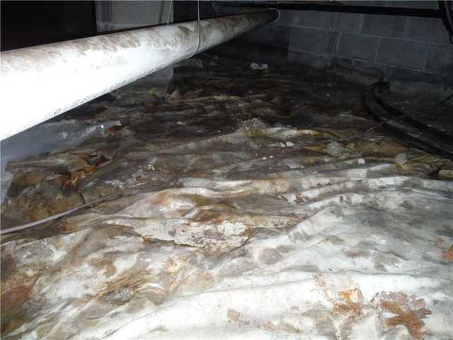 Nasty Crawl Space in Henderson, MD