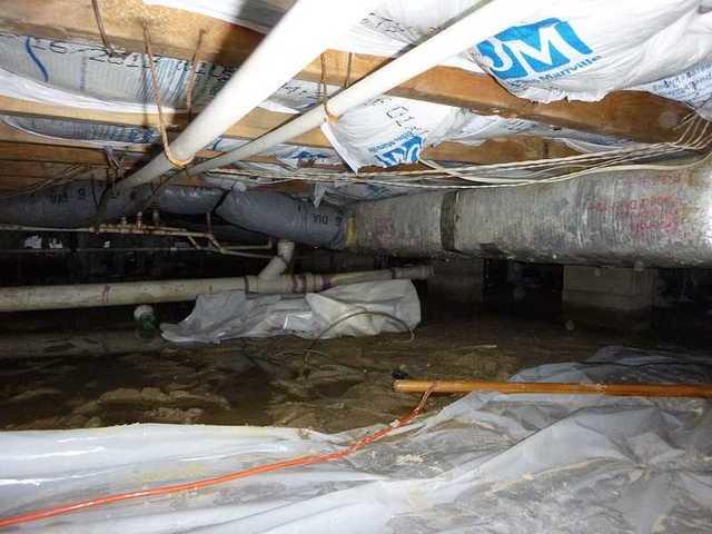 Nasty Area In The Crawl Space