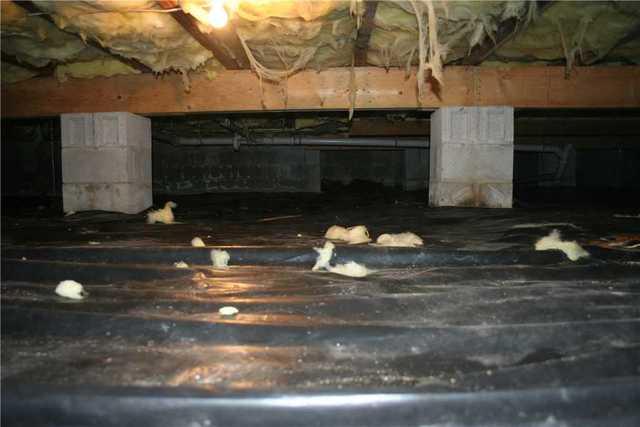 Dirty Crawl Space