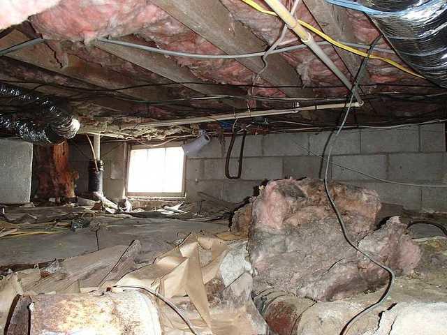 Before The Encapsulation