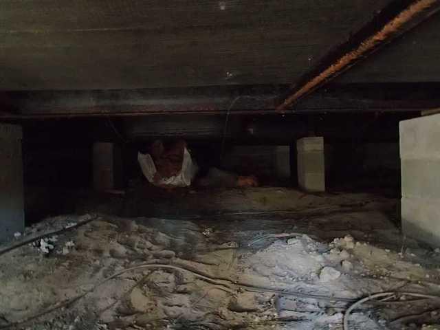 Nasty Crawl Space