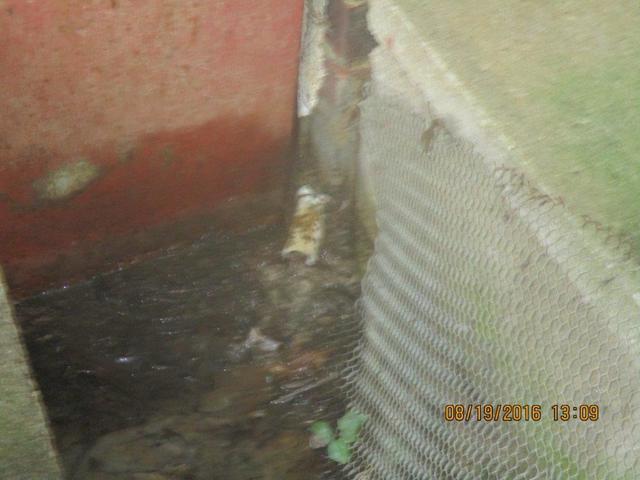 Here is a close up of the mold, muck, and mud that's running through the makeshift crawlspace door into the crawlspace.  The interior of the crawlspace has mold issues as well.  We need to button up this leak and remediate the mold--now!