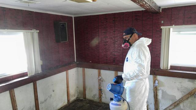 Eliminating the Mold