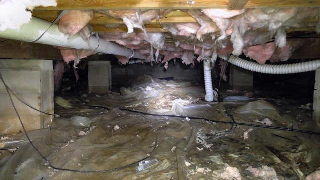 Crawl Space Before Clean Up