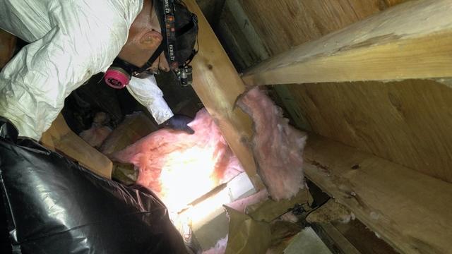 Removing Old Insulation