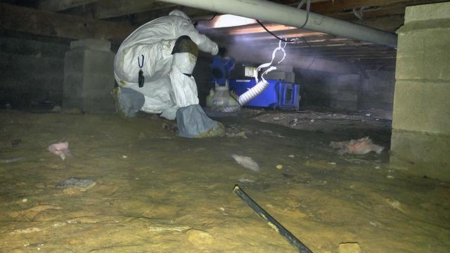 With the crawl space cleaned out, we could begin the mold treatment. First, we treated the entire crawl space with our EPA-registered anti-microbial called MAPS 1. This solution attacks mold on a cellular level and immediately kills it. Next, we used our mold stain remover and scrubbed away all the mold growth throughout the crawl space.