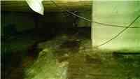 Our experts located a spot for the discharge line nearly across the entire length of the crawlspace.