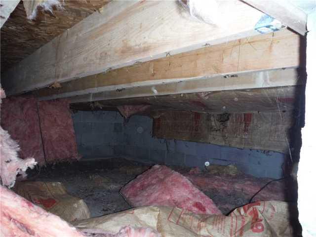 Gross Crawl Space in Buckley, MI