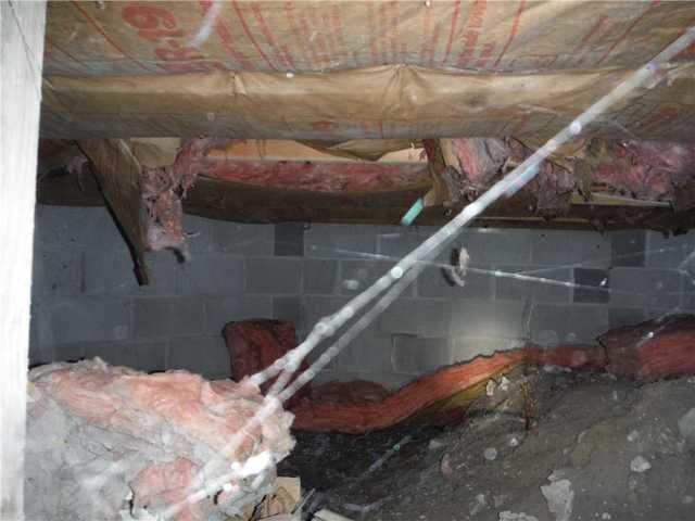 Waterlogged Crawl Space