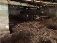 Mold and Moisture in the Crawl Space