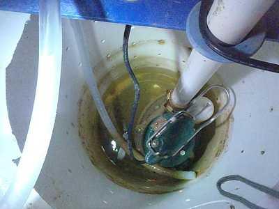 Servicing the sump pump