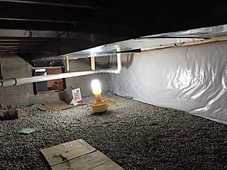 CleanSpace Liner