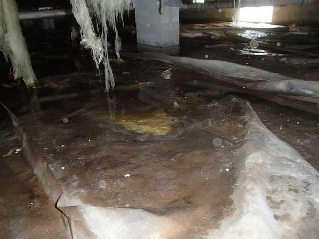 Dryzone Llc Crawl Space Repair Photo Album Crawlspace Drainage System And Sump Pump In Bethany Beach De