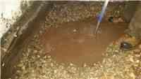 Puddle of Basement Water