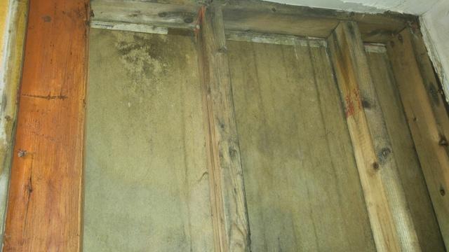 After Mold Treatment