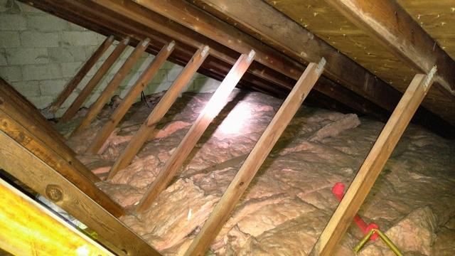 Cowleys Pest Services Wildlife Removal Photo Album Bats Leave Mess In Beachwood Attic