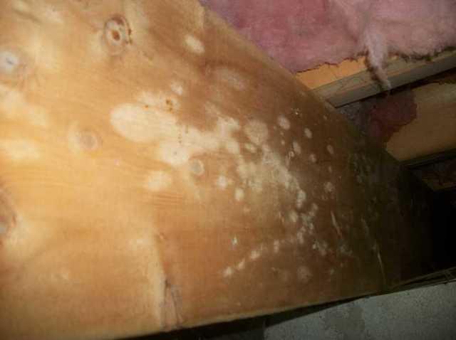 Spots on the wood