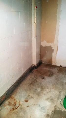 Water Rings and Damge