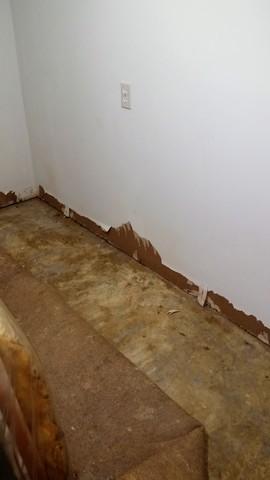 Water Intrusions