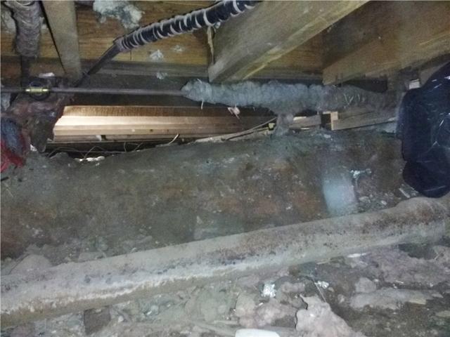 Dirty Bayonne, NJ Crawl Space