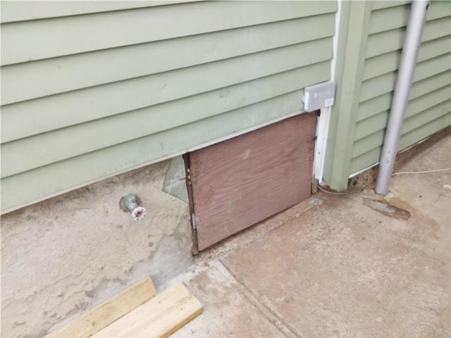 Crawl Space door