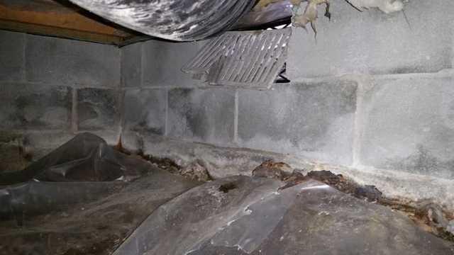 One Nasty Crawl Space