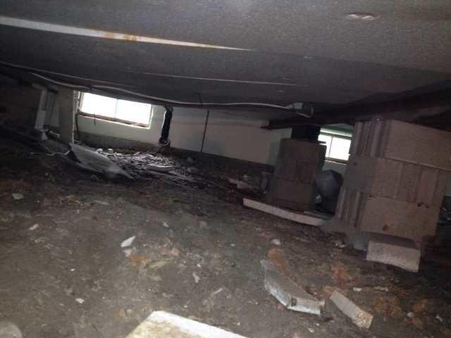 Ceiling Insulation