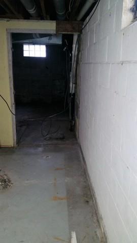 Dark, Damp, and in Need of Help