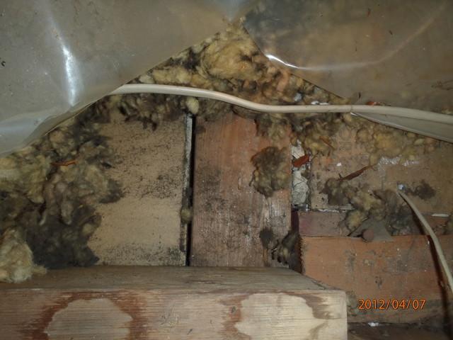 Air Leakage in Wilmington, DE Attic