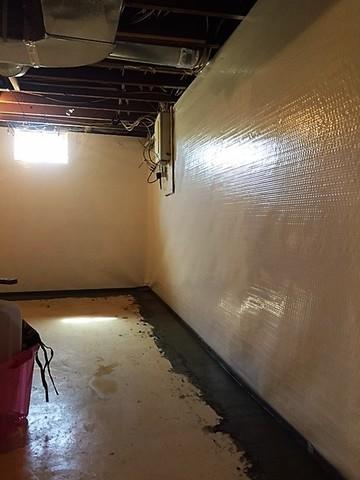 CleanSpace