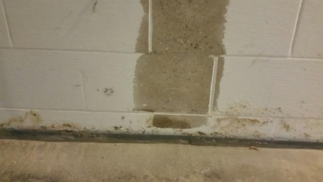 Scarifying The Wall