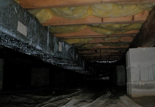 Crawlspace Moisture Problems in Seaford, Delaware