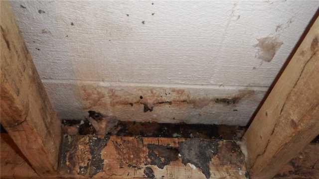 Water Damage on Bowing Wall