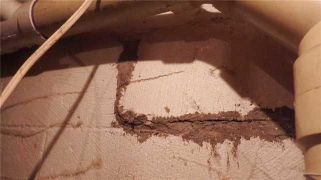 DIY Attempts to Seal Wall Crack Are Ineffective