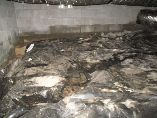 Wet. dirty crawl space