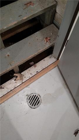 Floor Drain Can't Keep Up