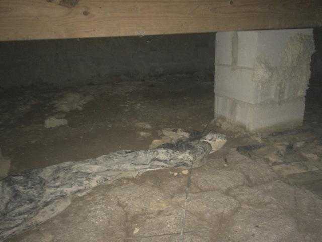 Exposed dirt floors