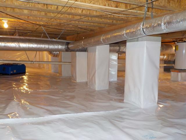 CleanSpace!