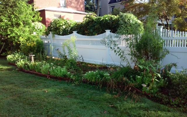 Fence and Landscaping