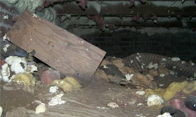 Dirt Crawl space in Milford, NJ