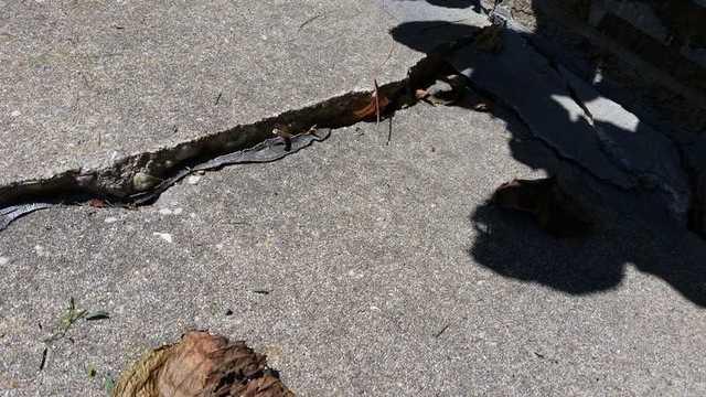 Crack In The Pool Deck