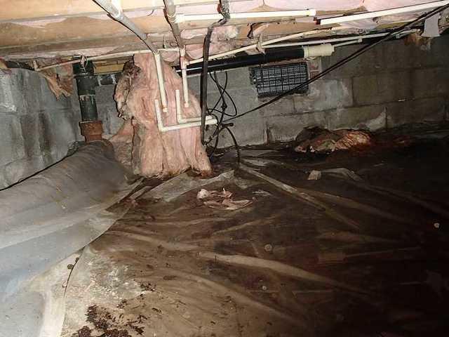 Insulation In The Crawl Space