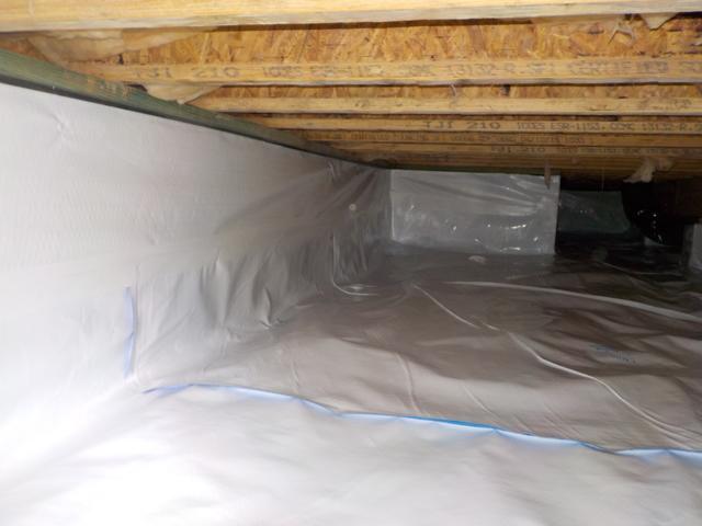 CleanSpace